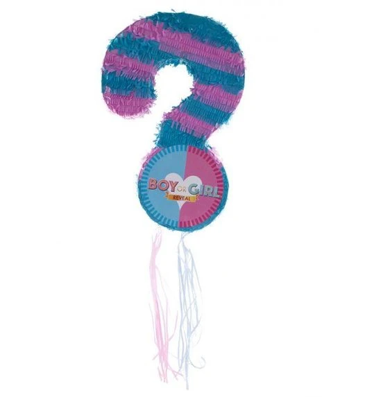 Gender Reveal Pinata 1 Gender Reveal Pinata