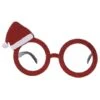 Kerst Bril Met Kerstmutsje