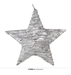 Kerst Ster Met Licht 30 Cm