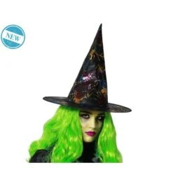 Multicolor Spinnenweb Hoed Voor Heks