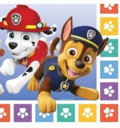 Paw Patrol Servietten 16 Stuks