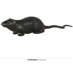 Rat 13 Cm. Latex