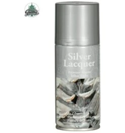 Zilveren Deco Spray