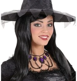 Zwarte Choker Met Paarse Stenen