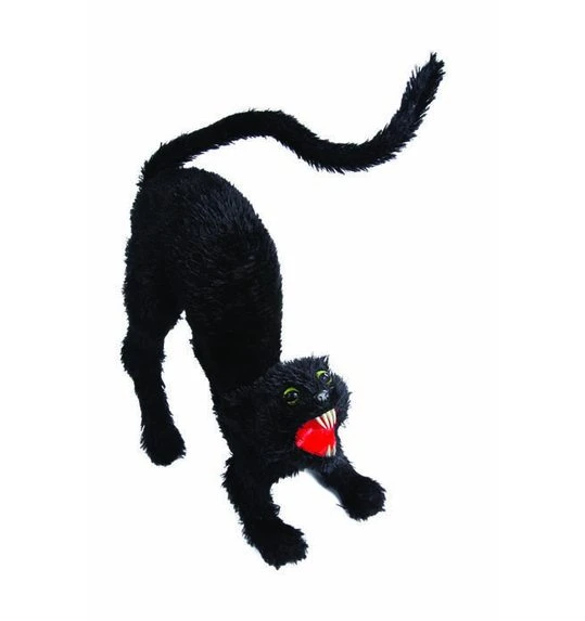 Zwarte Kat 60 Cm 1 Zwarte Kat 60 Cm